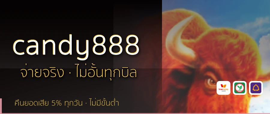 candy888